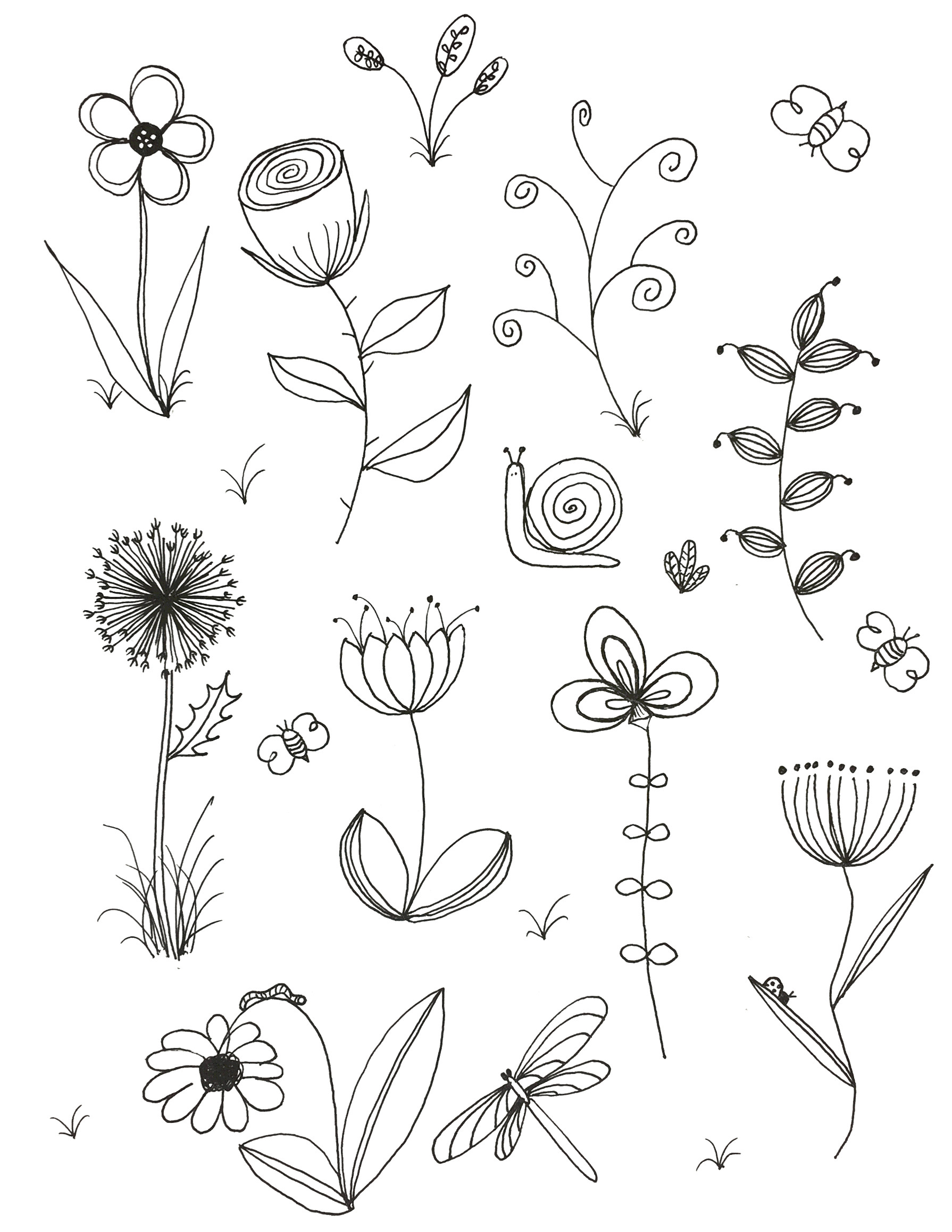 Drawing Flowers For Beginners at Explore