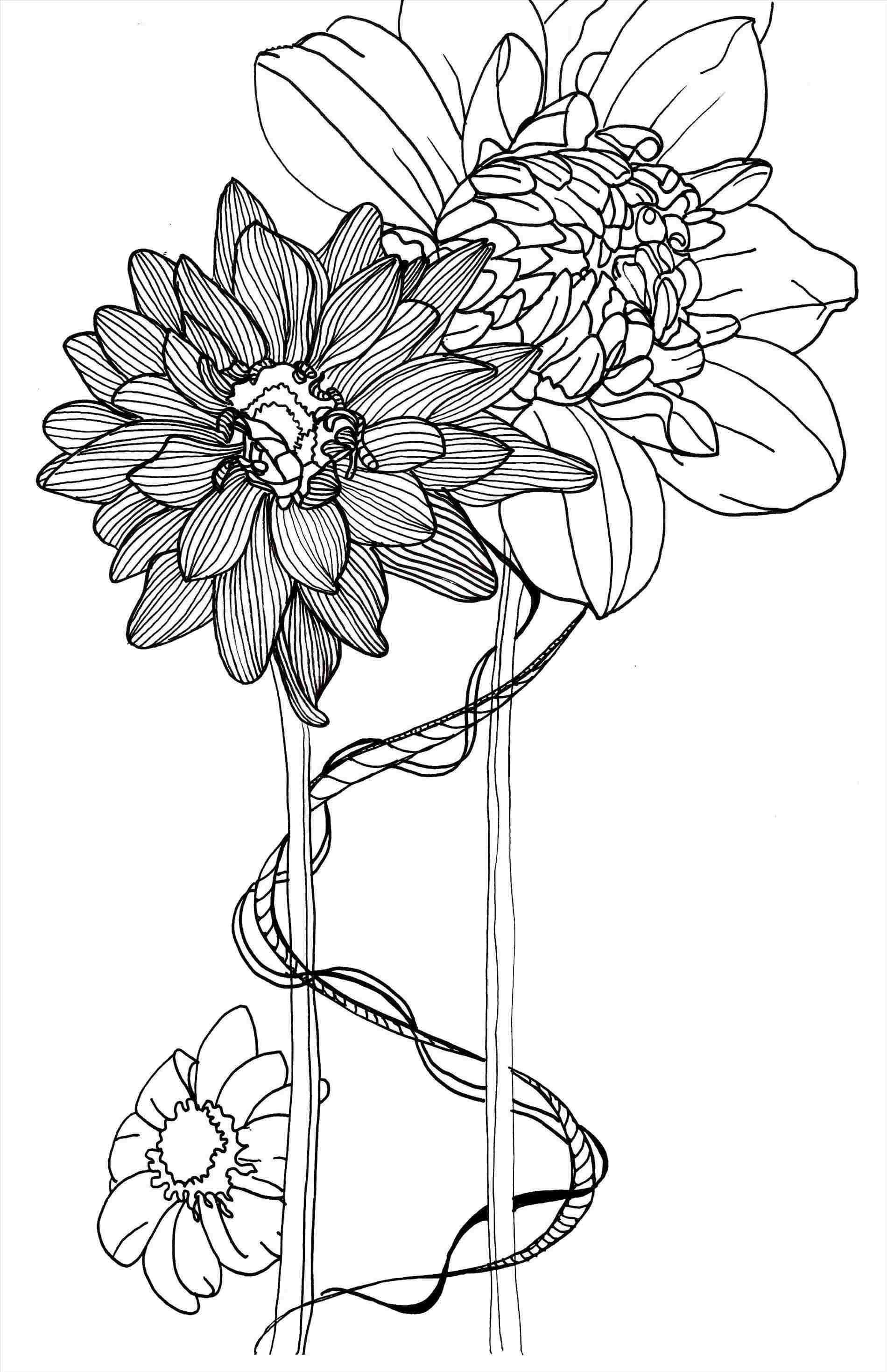 1900x2938 Of Pencil Sketches Rose Tattoo Designs Angel Images Of Drawing - Drawing Flowers Tattoo