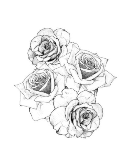 400x500 Rose Drawing Tumblr - Drawing Flowers Tattoo