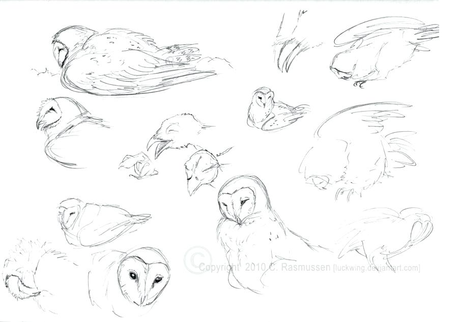 900x633 Coloring Pages Disney Zombies To Print Unicorns Halloween Owl - Drawing For Adults Online