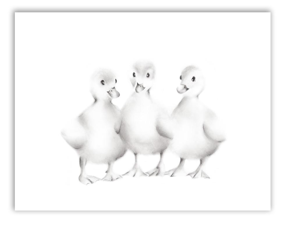 983x775 baby duckling pencil drawing print - Drawing For Babies