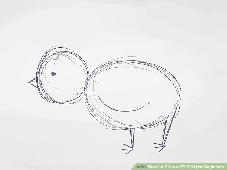 728x546 How To Draw A Bird - Drawing For Beginners