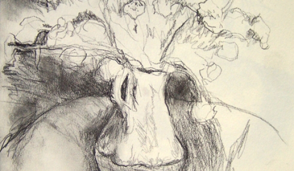 571x333 Drawing For Beginners - Drawing For Beginners