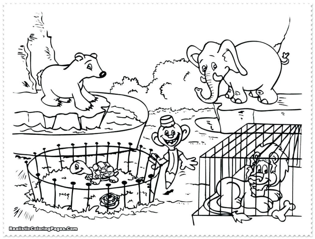 1024x778 Skill Drawings Of Zoo Animals Coloring Pages Drawing For Children - Drawing For Children