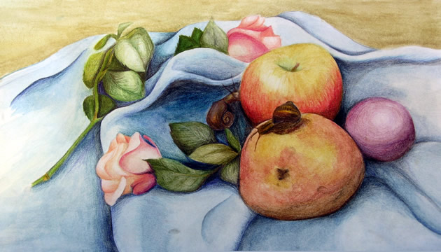 630x360 How To Create Excellent Observational Drawings - Drawing For Elementary Students