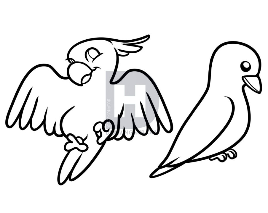 904x720 How To Draw Birds For Kids, Step - Drawing For Kids Birds