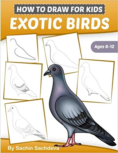 386x499 How To Draw For Kids - Drawing For Kids Birds