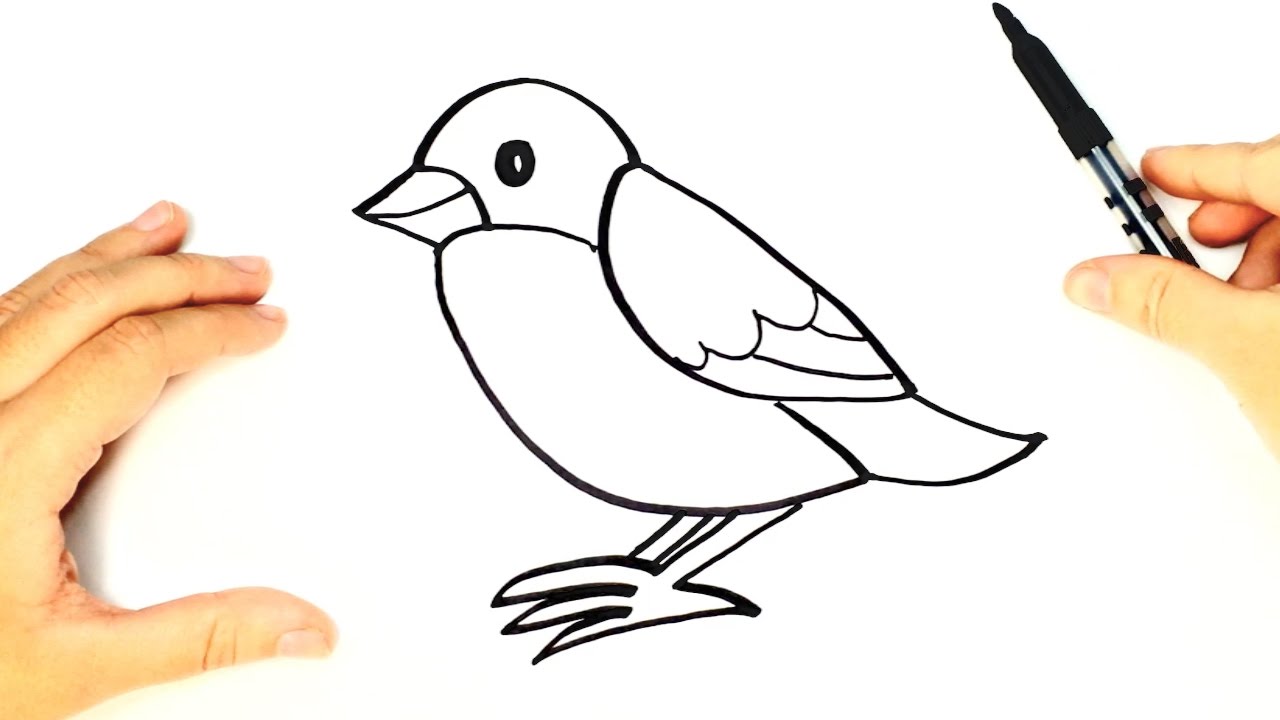 1280x720 How To Draw A Bird For Kids Bird Drawing Lesson Step - Drawing For Kids Birds