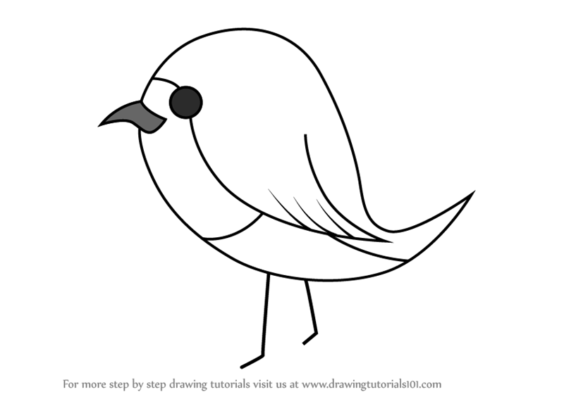 800x567 Learn How To Draw Robin Bird For Kids - Drawing For Kids Birds