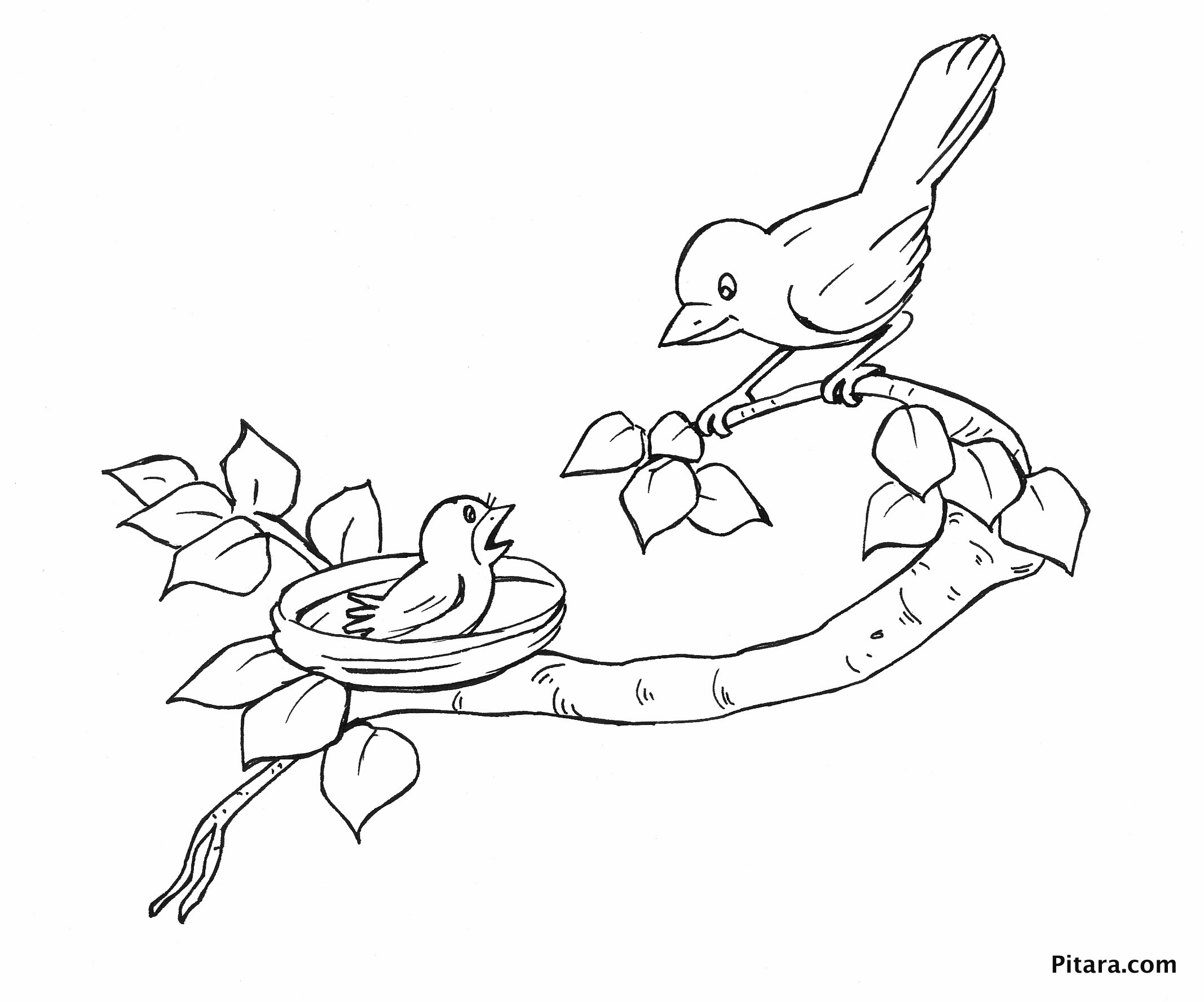 2135x1776 picture of birds to colour preschool for humorous enormous - Drawing For Kids Birds