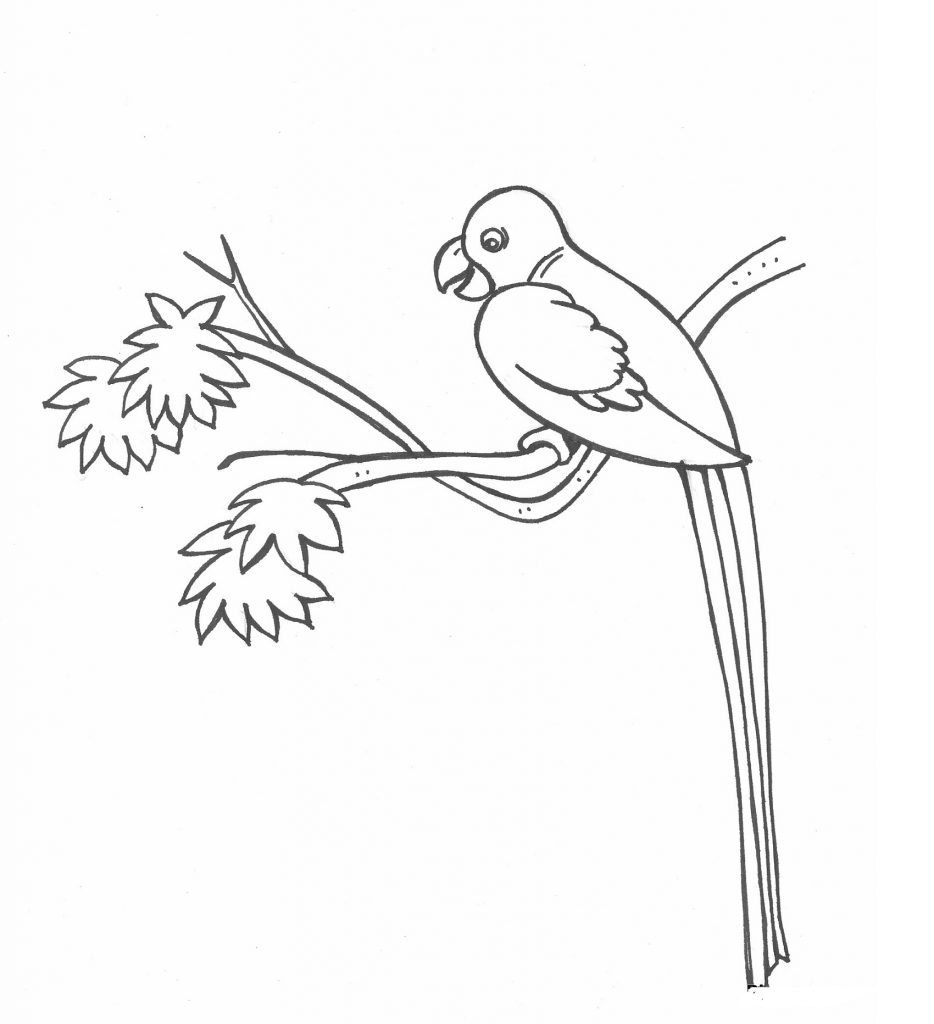 934x1024 Birds Drawing For Kids - Drawing For Kids Birds