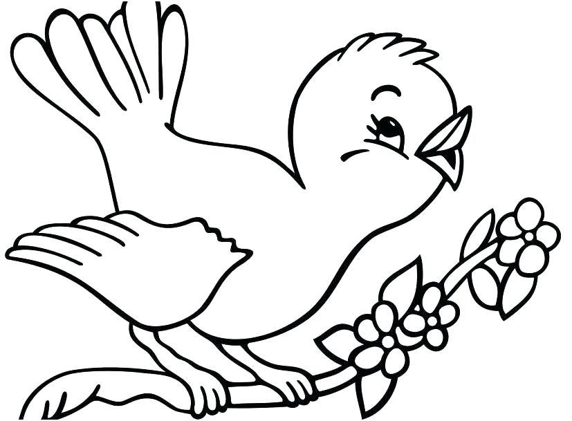 827x609 Coloring Pages For Teens Halloween Witch Kids Unicorn Cute Bird - Drawing For Kids Birds