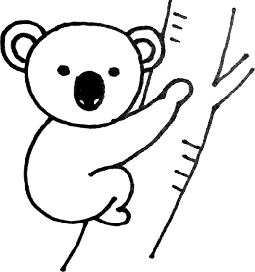 520x555 How To Draw A Koala For Kid - Drawing For Kids Com