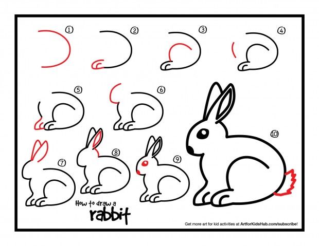 620x479 How To Draw A Rabbit - Drawing For Kids Download