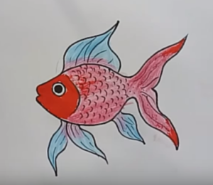 300x260 How To Draw A Fish Step - Drawing For Kids Fish