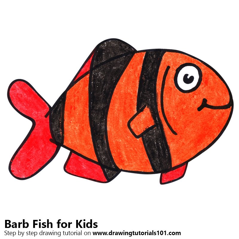 800x800 Learn How To Draw A Barb Fish For Kids - Drawing For Kids Fish