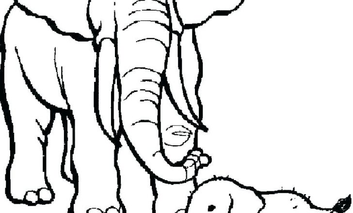 728x440 Coloring Pages For Kids Free Adults Pdf To Print Toddlers Elephant - Drawing For Kids Pdf