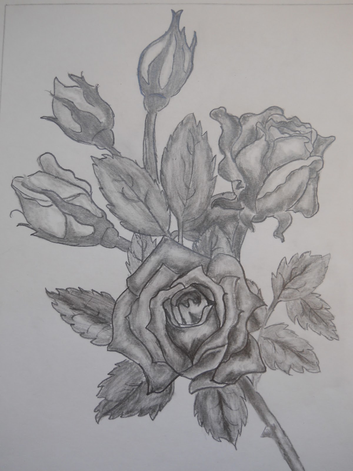 1200x1600 creative expressions high school art students drawing from nature - Drawing For Middle School Students