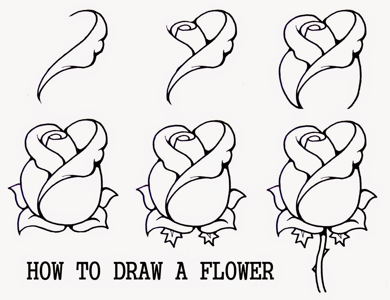 1600x1232 How Do You Draw A Rose Easy Steps Drawings For Kids To Paint New - Drawing For You