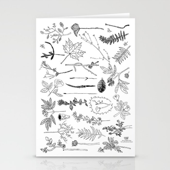 700x700 Botanical Drawings - Drawing For Young Kids