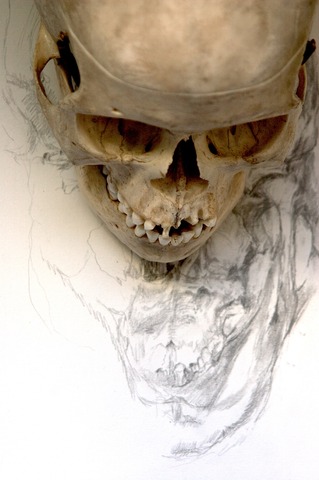 319x480 forum for drawing presentation, jenny wright 'extending the field - Drawing Forum