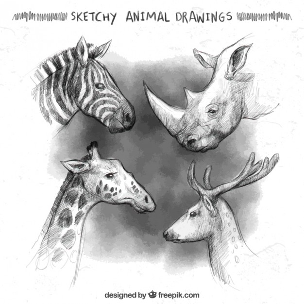 626x626 Sketchy Animal Drawings Vector Free Download - Drawing Free Download