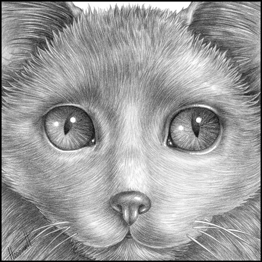 525x525 Drawing The Furry, Fluffy, And Feathered - Drawing Fur