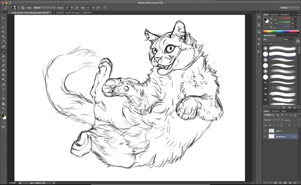 600x368 paint fur with the brush tool in steps! photoshop creative - Drawing Fur