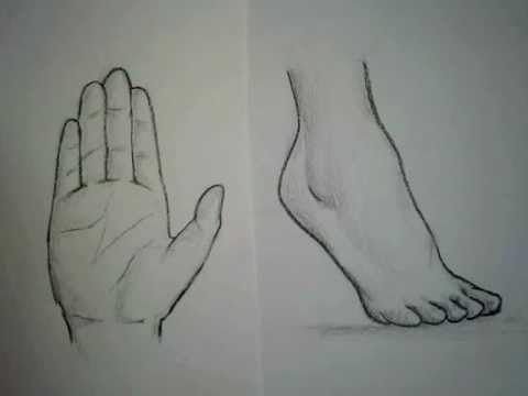 480x360 How To Draw Hands And Feet - Drawing Hands And Feet