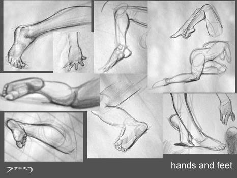 466x350 Life Drawings - Drawing Hands And Feet