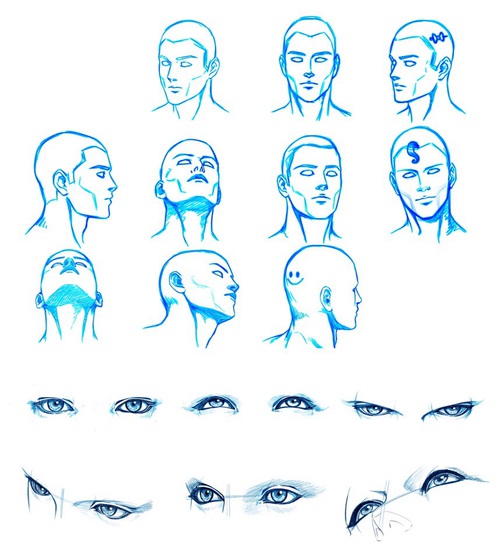 500x559 head angles shared - Drawing Head Angles