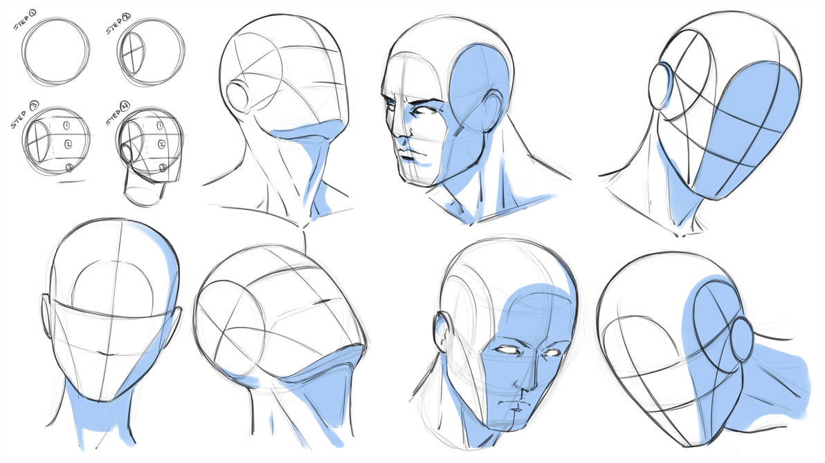 Drawing Head Angles At PaintingValley.com | Explore Collection Of ...