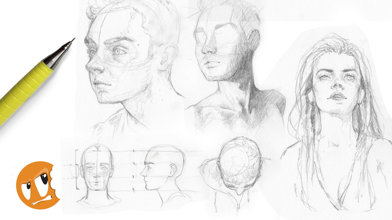1280x720 stream drawing heads from different angles - Drawing Head Angles