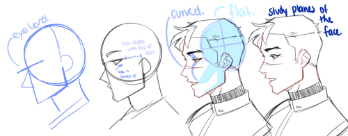 500x196 head angles tumblr - Drawing Head Angles