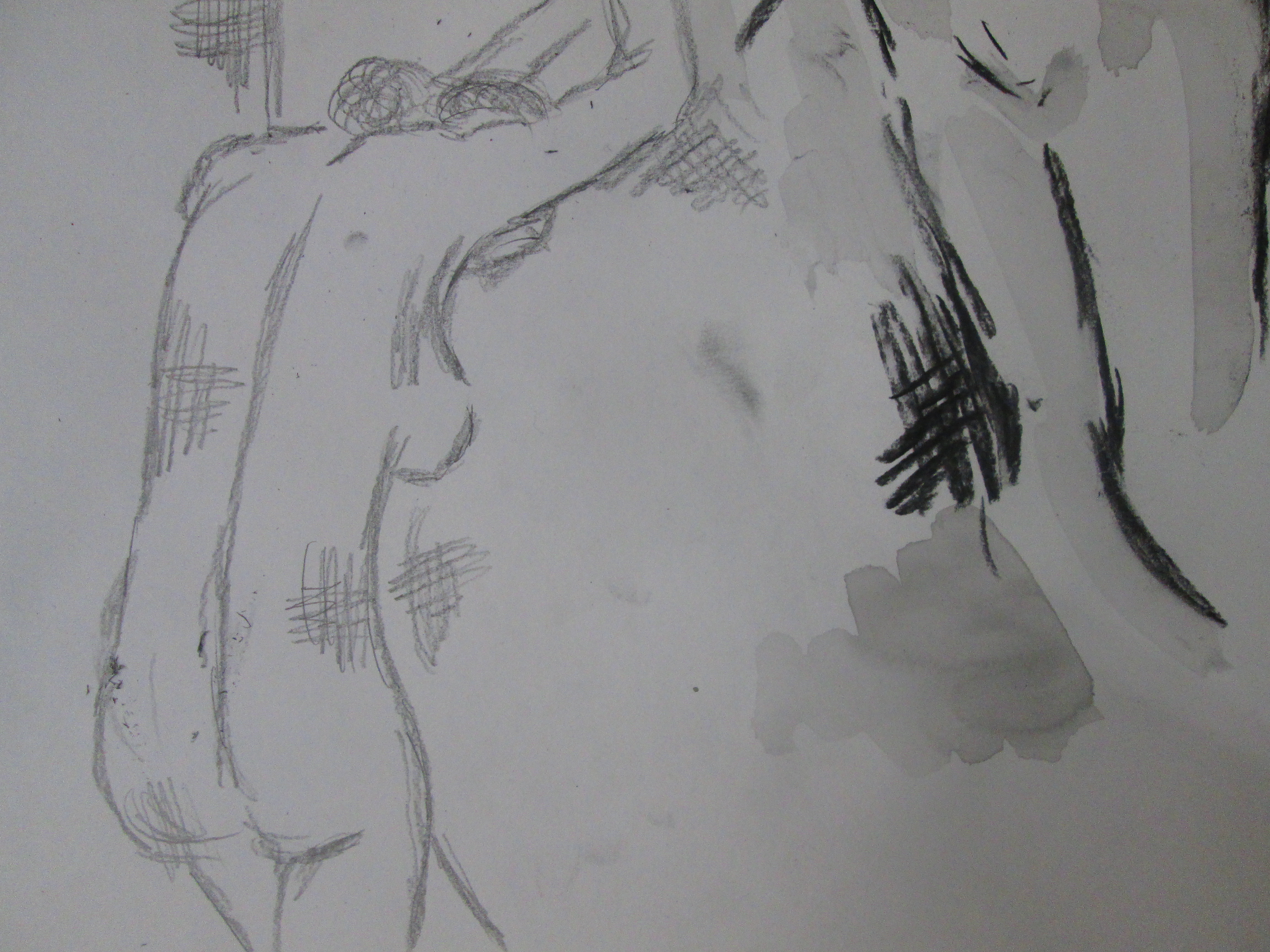 4608x3456 Drawings Gemmaschiebefineart - Drawing Help