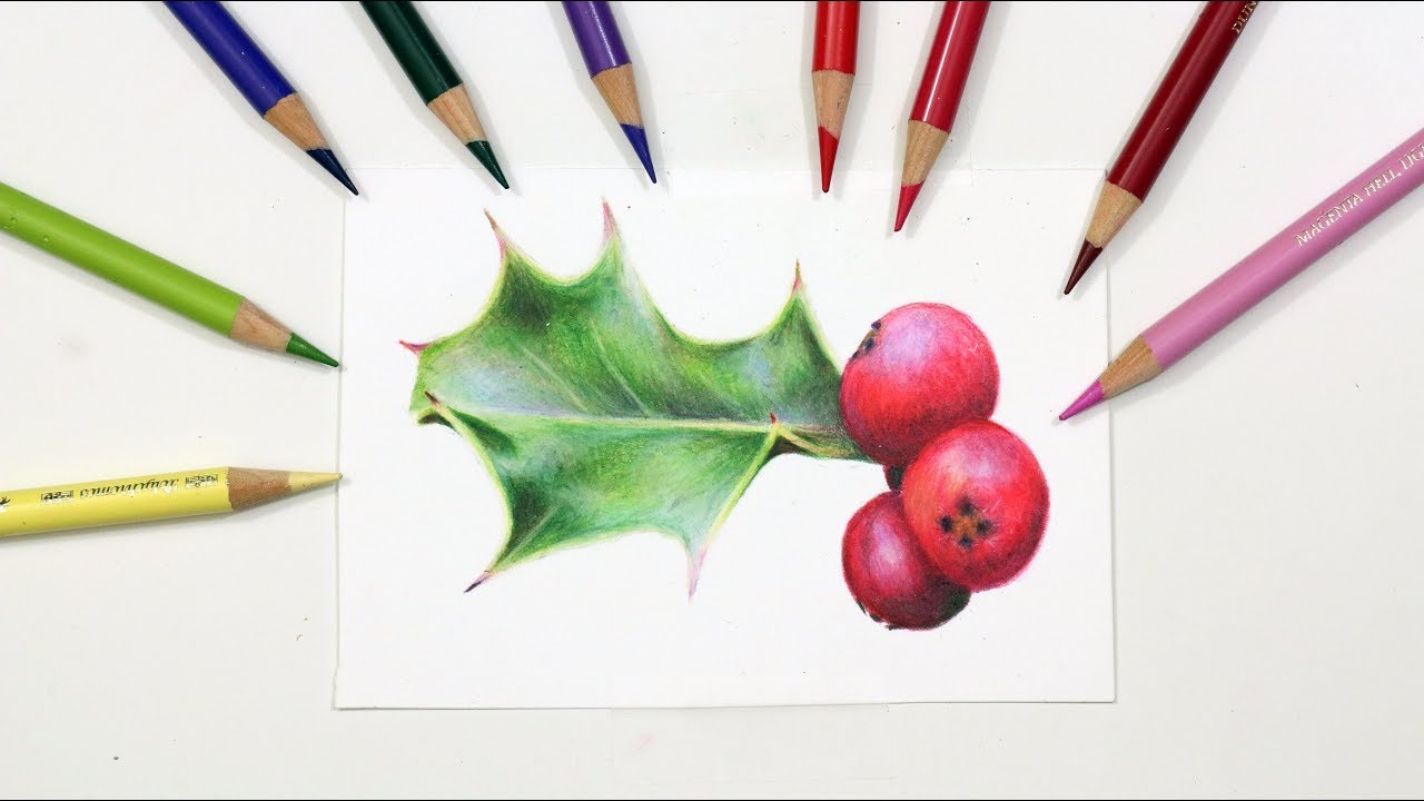 1280x720 how to draw a holly leaf berries with colored pencil - Drawing Holly Leaves And Berries