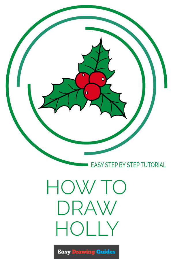 600x900 How To Draw Holly For Christmas - Drawing Holly Leaves And Berries