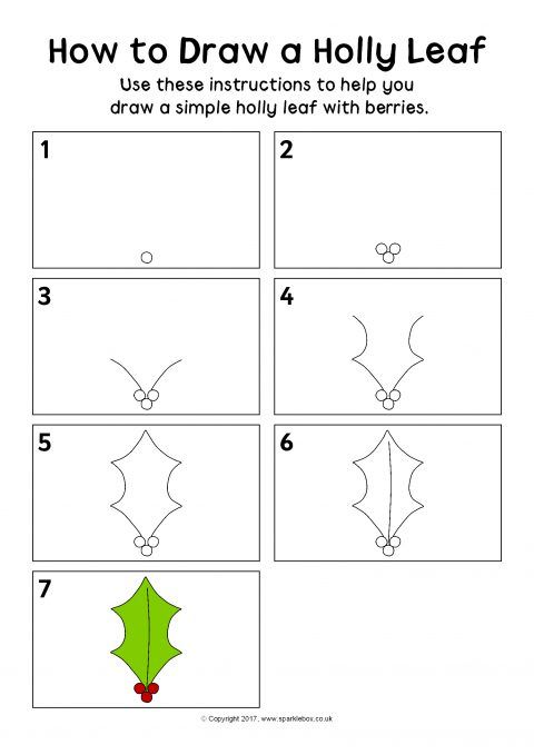 480x679 How To Draw A Holly Leaf Instructions Sheet - Drawing Holly Leaves And Berries