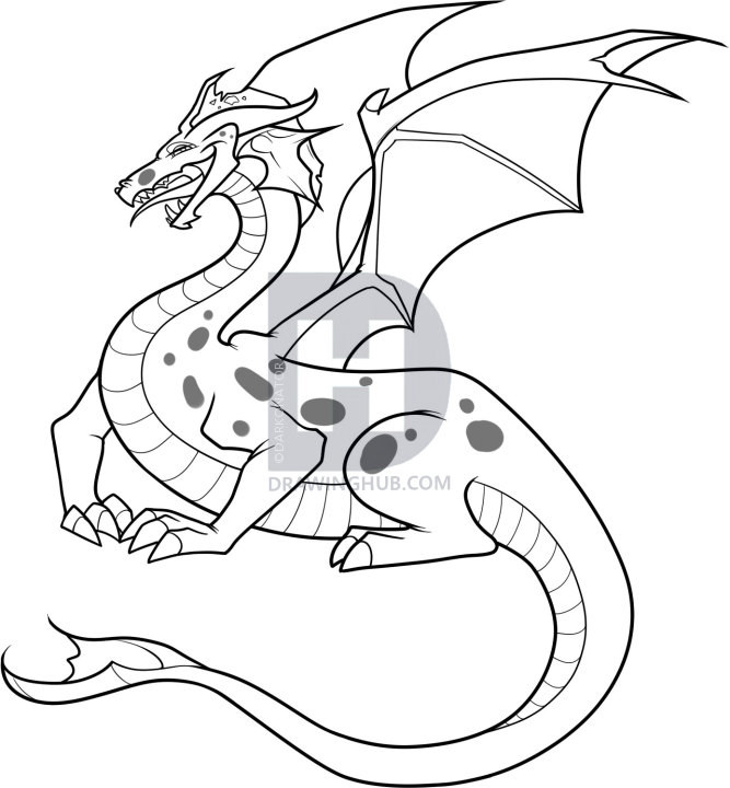 667x720 How To Draw A Real Dragon, Step - Drawing Hub