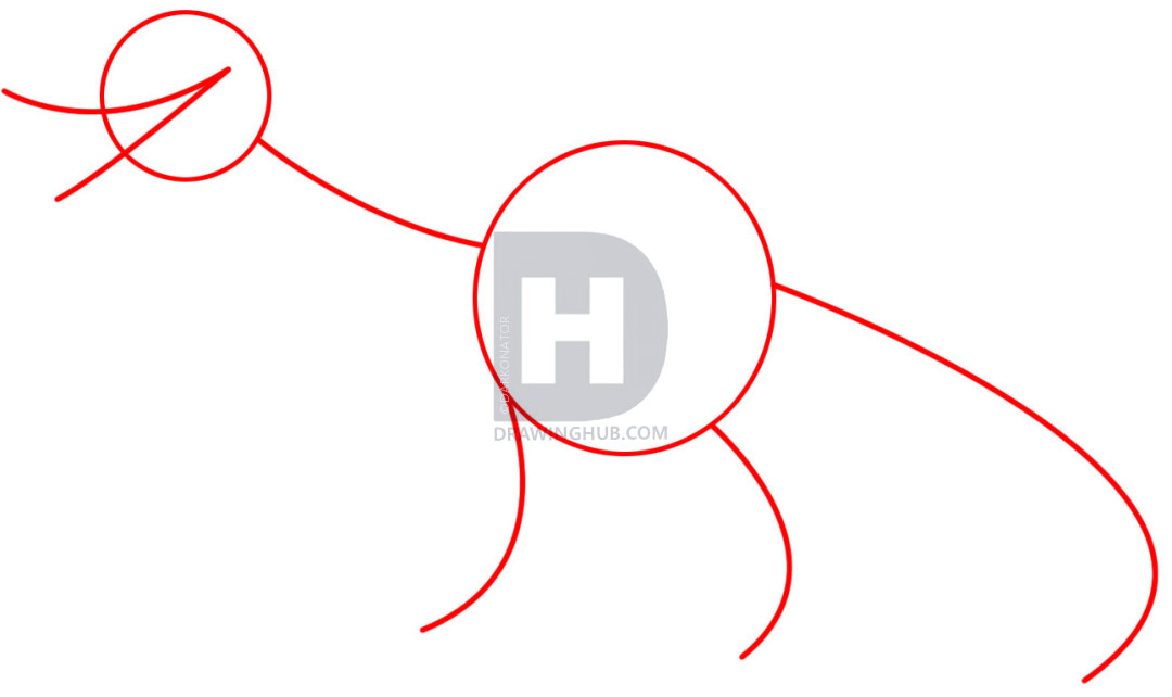 1080x642 How To Draw A Tyrannosaurus Rex, Step - Drawing Hub