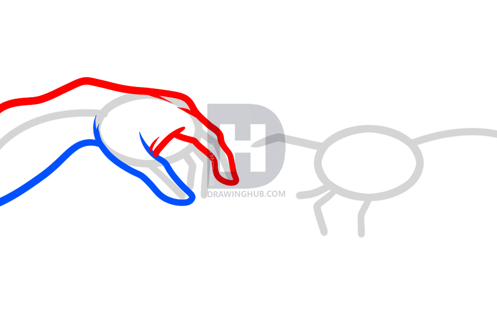1018x639 How To Draw The Creation, Creation Of Adam, Step - Drawing Hub