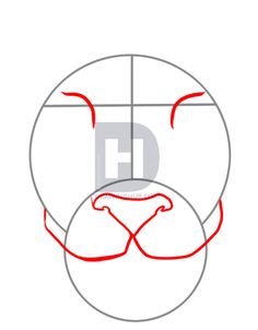 236x302 How To Draw A Tiger Face In A Few Easy Steps Drawings Easy - Drawing Hub