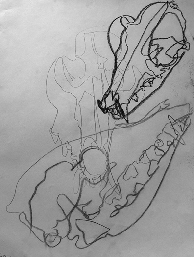 396x524 drawing i ii student work judith baumann probably loves you - Drawing I