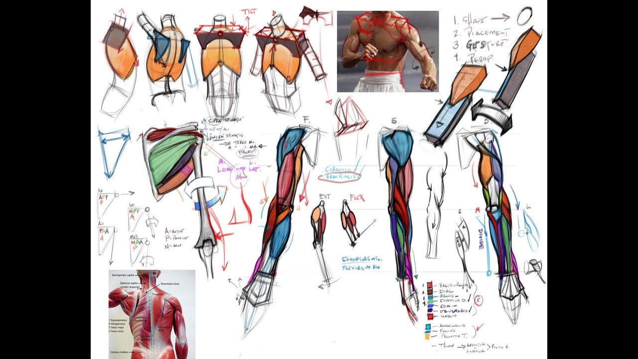 1280x720 Analytical Figure Drawing I Class With Michael Hampton - Drawing I