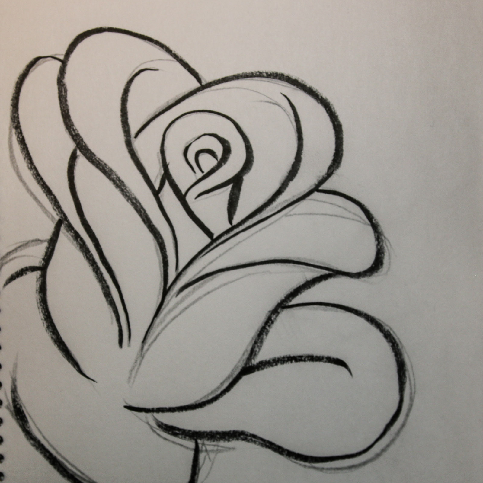 1600x1600 Drawing Of A Rose - Drawing Images