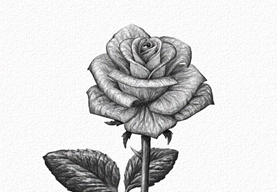 400x277 Digital Drawing For Beginners Before You Publish Your Drawing - Drawing Images