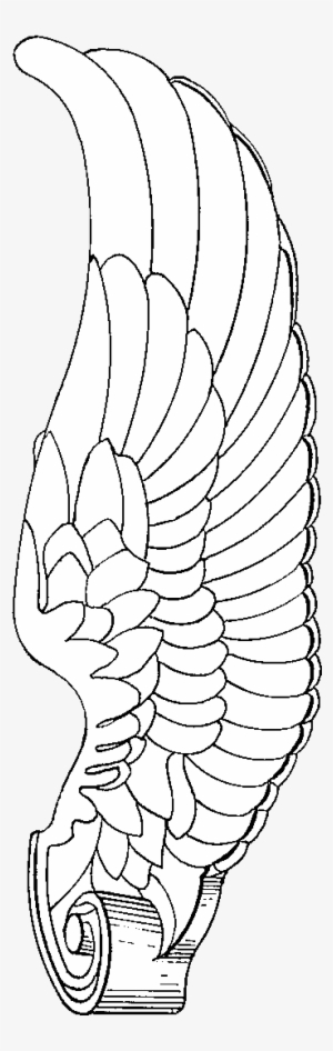 300x946 Collection Of Free Radish Drawing Pencil Download - Drawing Images Download