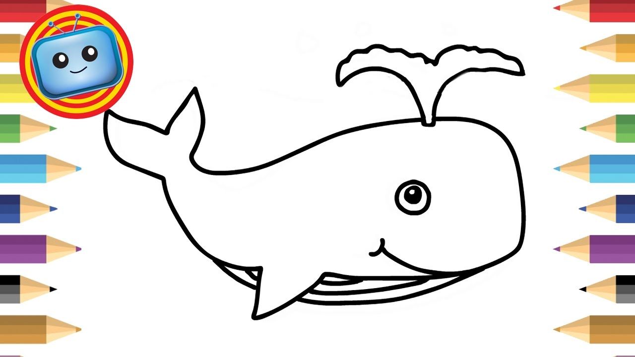 1280x720 Whale Drawing For Kids Resourcechurchplanting - Drawing Images For Kids
