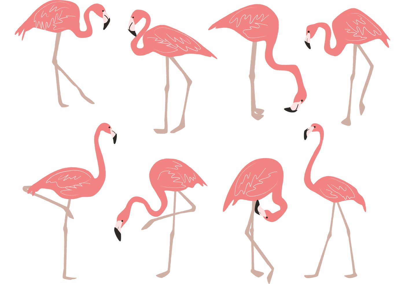 1400x980 Hand Drawn Flamingo Vectors - Drawing Images Free Download