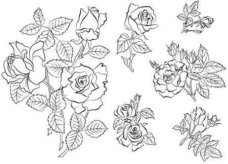 452x326 Hand Drawing Flowers Free Vector Download - Drawing Images Free Download